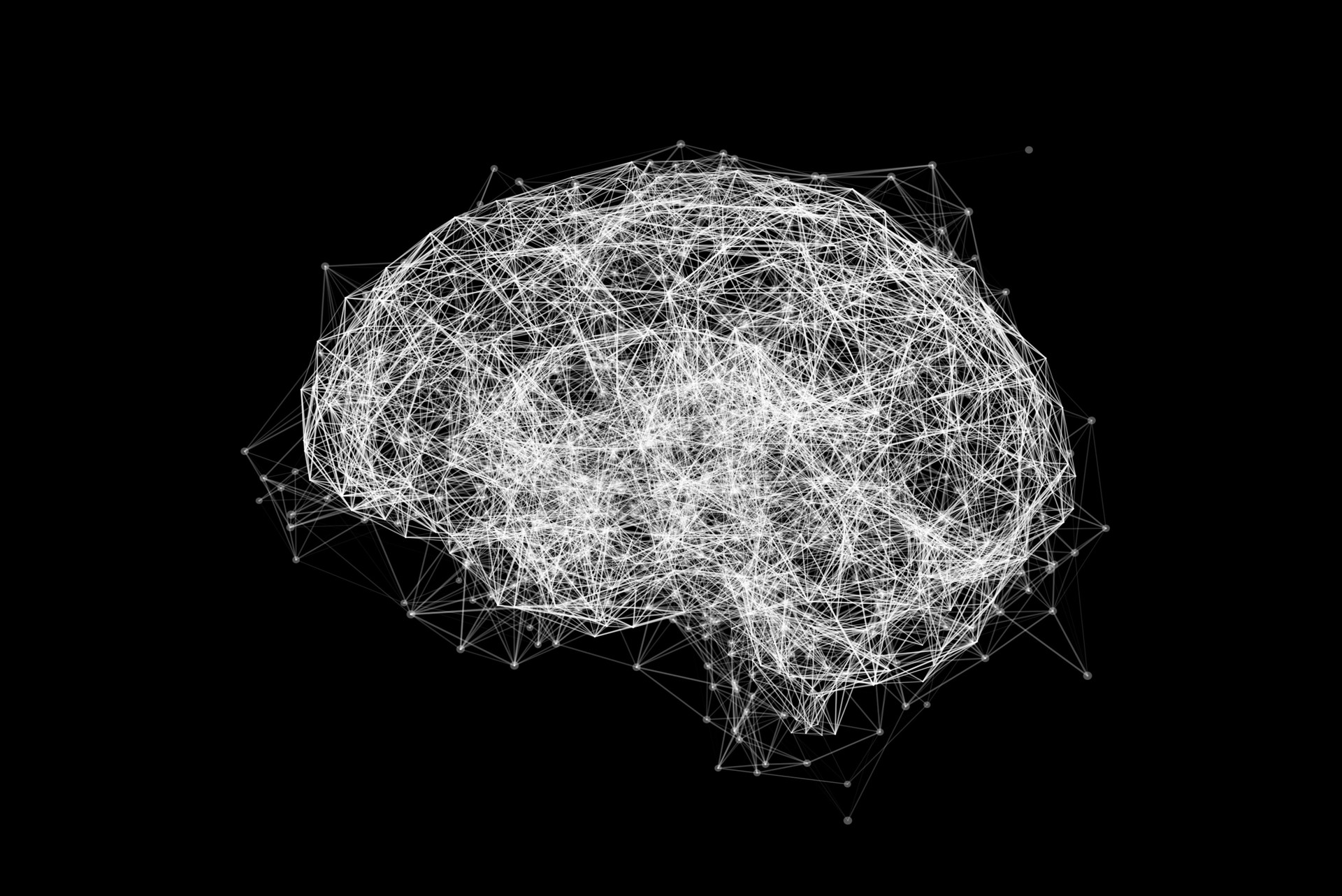 Network in the shape of the human brain